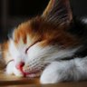 まる profil fotoğrafı