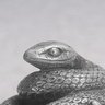 Фото профиля ヴリトラ
