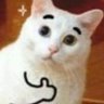 Haiyang profil fotoğrafı