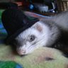 Ryo's profile picture