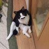 ナスちゃん♪(๑ᴖ◡ᴖ๑)♪🟠 profil fotoğrafı