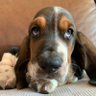 Profilbild von Maci