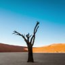 Фото профиля Sand Storm