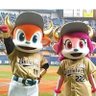 じゃら☆Orix 2025年公式戦観戦0勝1敗 profil fotoğrafı