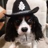 Lexie Lou's profile picture