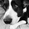 Clare~Henry's profile picture