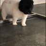 xinhhhuan's profile picture