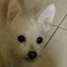 B33bster8099's profile picture