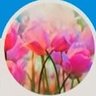 كامل جوهر's profile picture