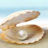 Pearl's profile picture