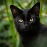 Фото профиля しろ