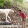 Soumya Adhikari's profile picture