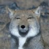 sasaki's profile picture