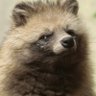 Profilbild von Yosy