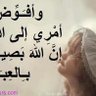 Фото профиля Ashraf elmasry