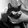 Katlin 🐾's profile picture