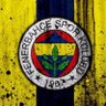 Fenerbahce Empire 的头像