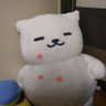 だー's profile picture