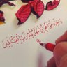 Фото профиля Mahdy A Kamel