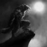 Profilbild von X treme Community of Wolves.(XCW)🐺