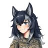 Nilop 的头像