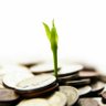 Фото профиля Common Investor