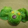 Russel Sprout's profile picture