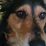 asia🇵🇱's profile picture