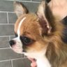 🌾sai🐾eko🍡 的头像