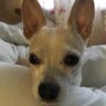 Маруся's profile picture