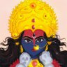 मीरा शरण शर्मा's profile picture