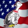 Mike's profile picture