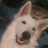 @xell's profile picture