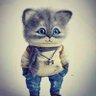 Profilbild von Cookies