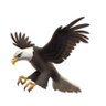 EasyEagle's profile picture