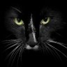 Profilbild von fire