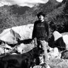 Profilbild von Sea Wolf - “Let slip the Democratic dogs of war”