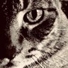 IDon’tKnowOn3rd profil fotoğrafı