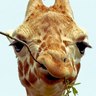 james carter's profile picture
