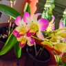 Фото профиля 2spiritpenguin