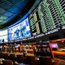 EZBetting 的头像
