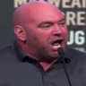 Dana Red's profile picture