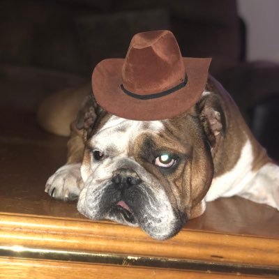 Ohzeus's profile picture