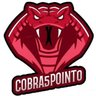 Cobra5point0 profil fotoğrafı