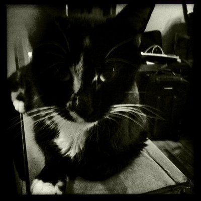furtherrecords's profile picture
