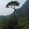 Sasquatch． 的头像
