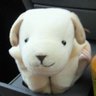 Profilbild von 茶々