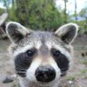 Michi profil fotoğrafı