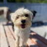 HarleyH profil fotoğrafı