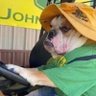 Big C Dubs's profile picture